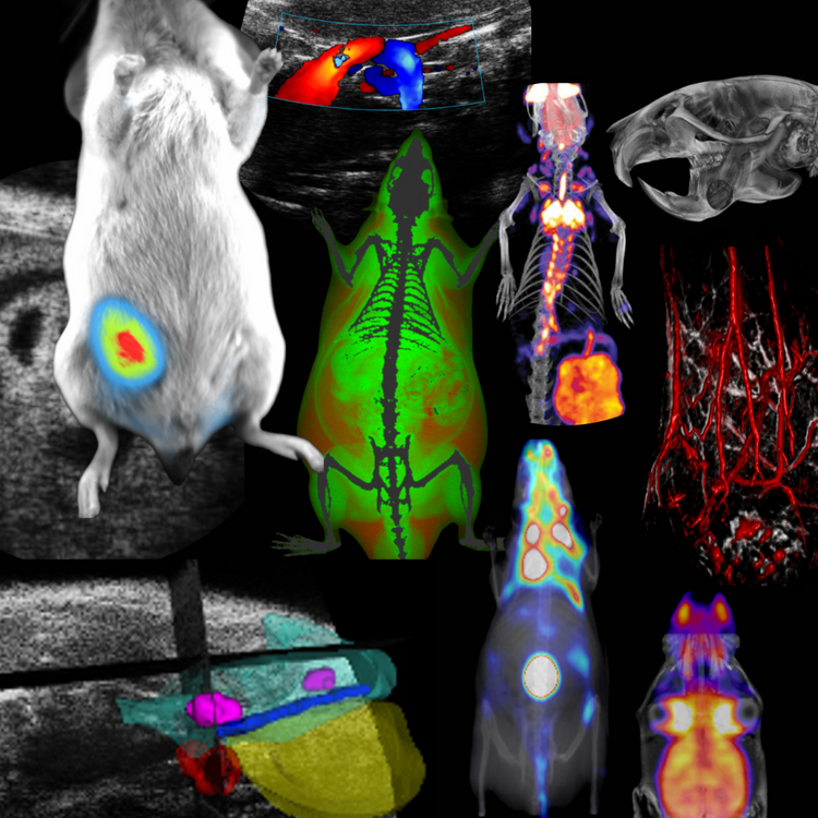 Preclinical Imaging