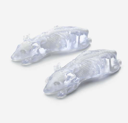 Bio-Mouse Phantom
