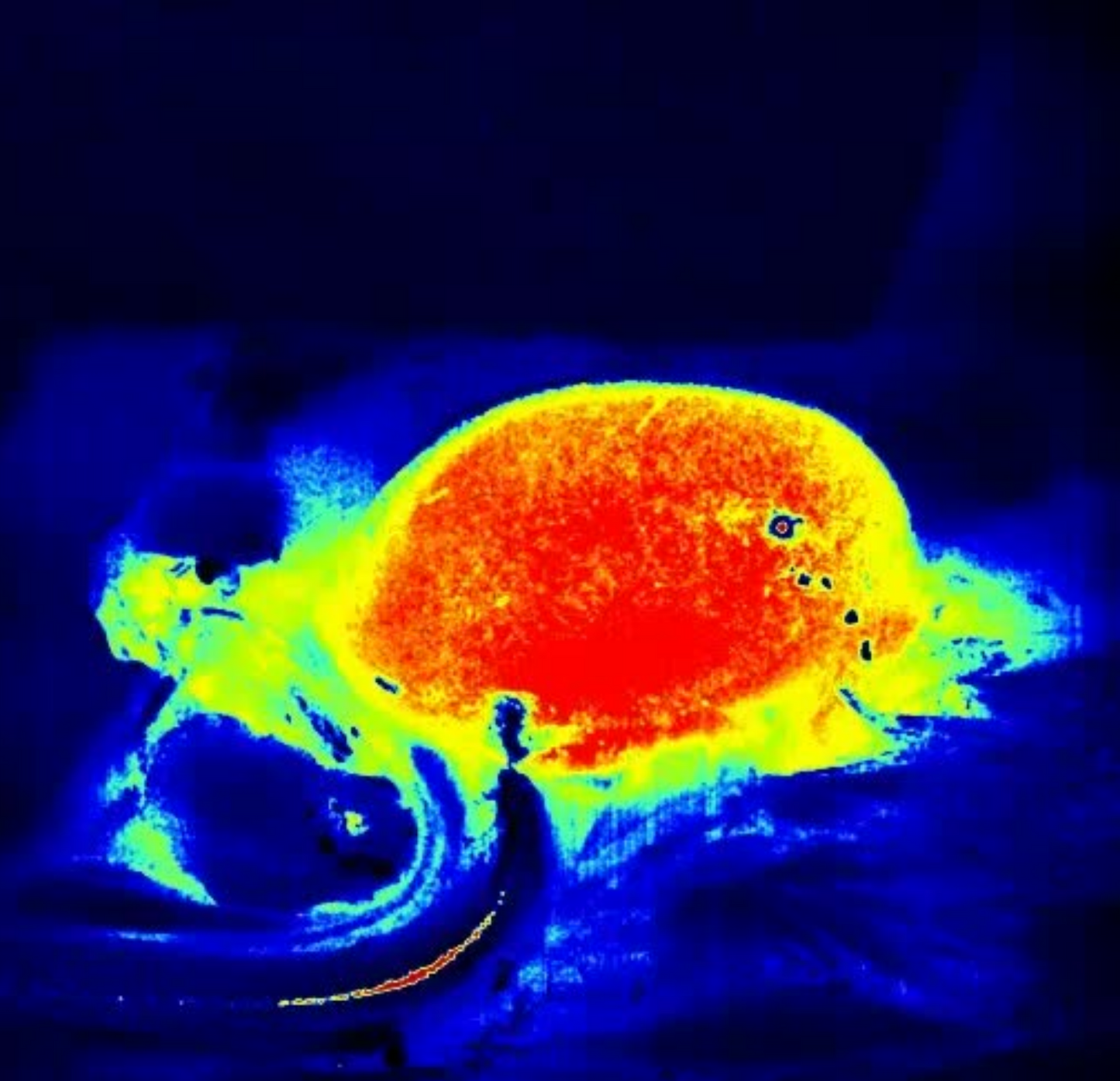 RFLSI III Laser Speckle Perfusion Imager