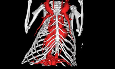 Imalytics Preclinical Software