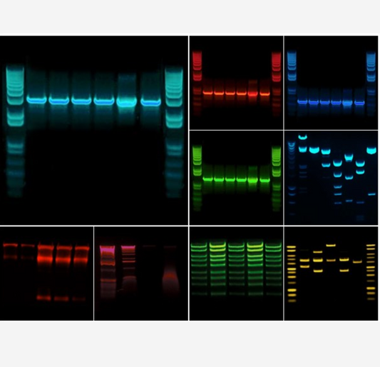 Doc Print CX3 GelDoc