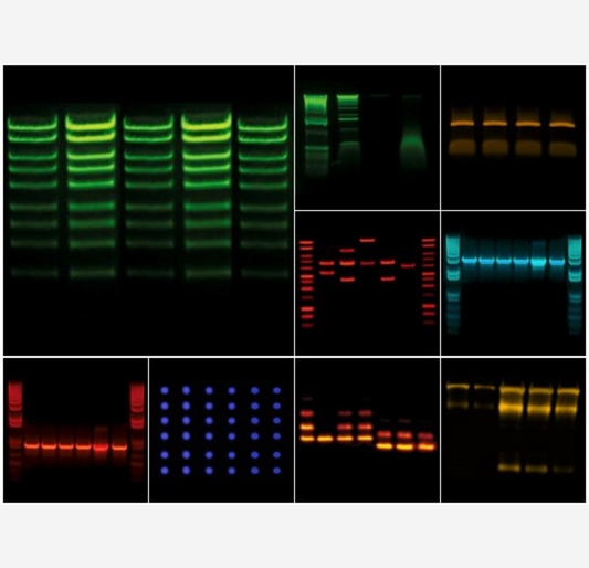 Bio Print CX4 Gel Doc