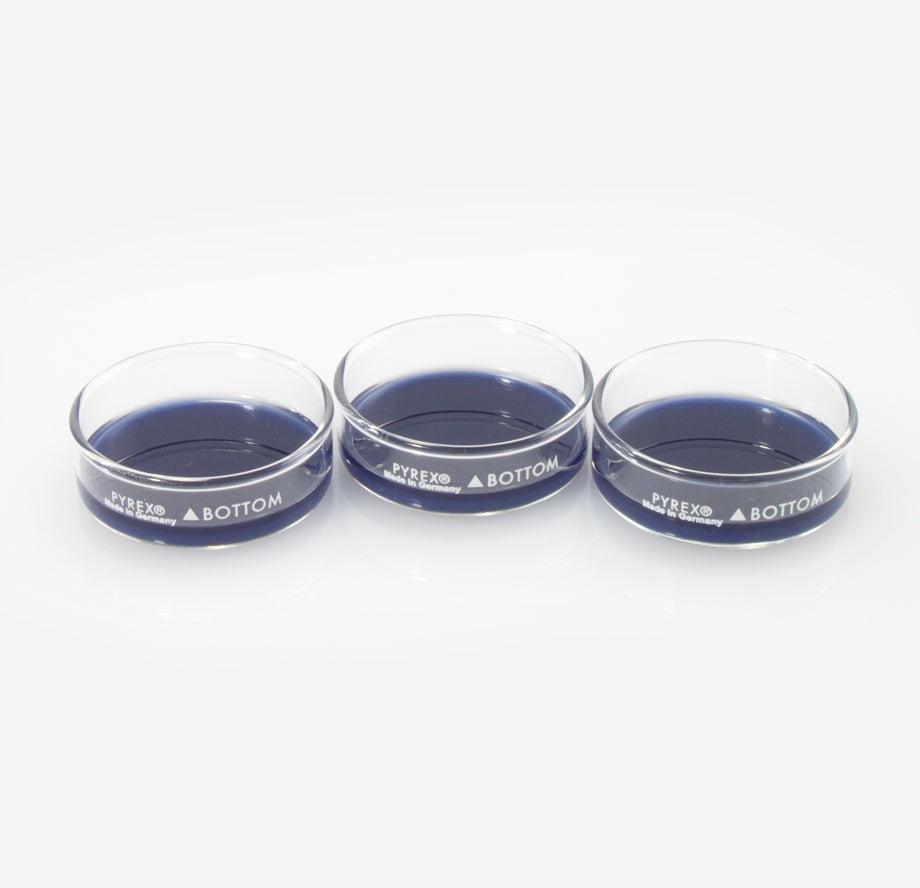 Dissection Dish, Small, Blue 3-Pack