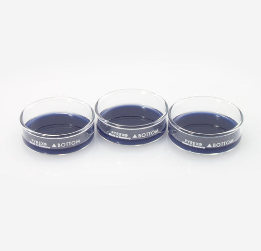 Dissection Dish, Small, Blue 3-Pack