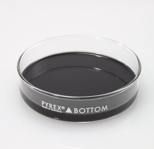 Dissection Dish, Large, Black