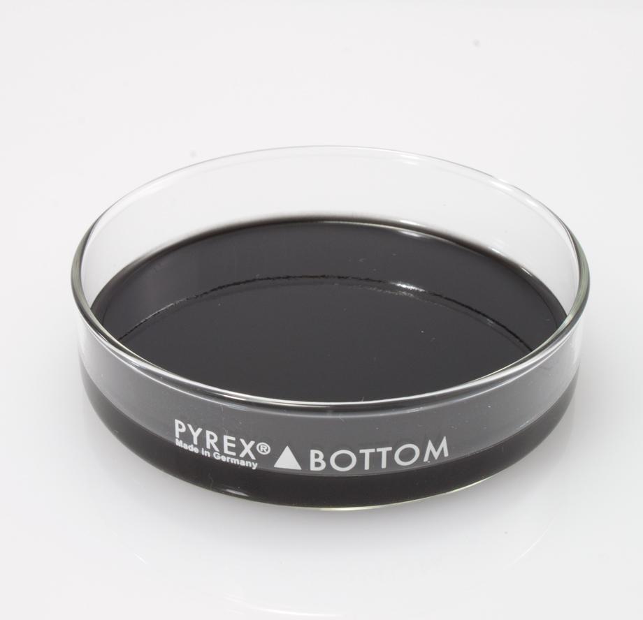 Dissection Dish, Small, Black