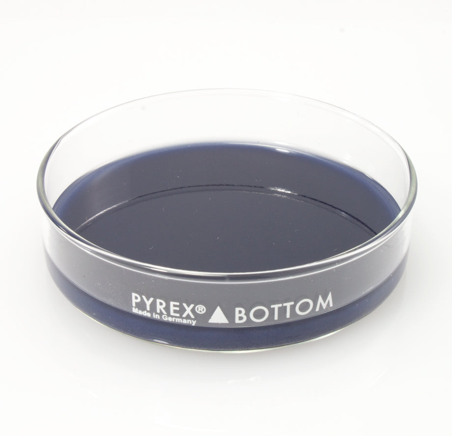 Dissection Dish, Large, Blue