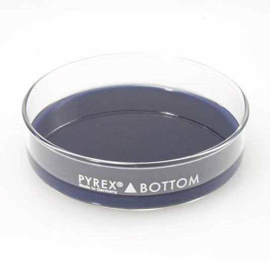 Dissection Dish, Large, Blue