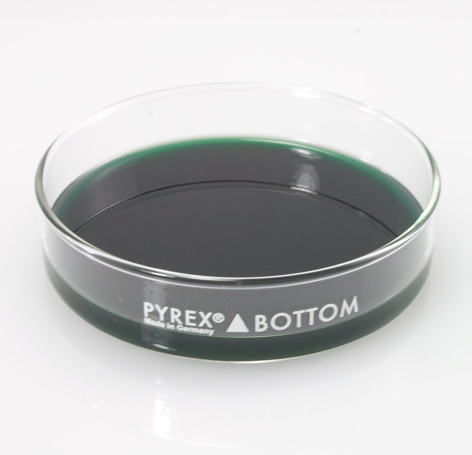 Dissection Dish, Large, Green