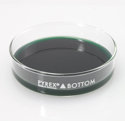 Dissection Dish, Large, Green