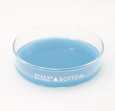 Dissection Dish, Large, Light Blue 3PK