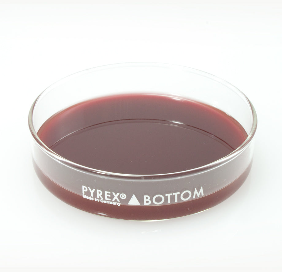 Dissection Dish, Large, Red