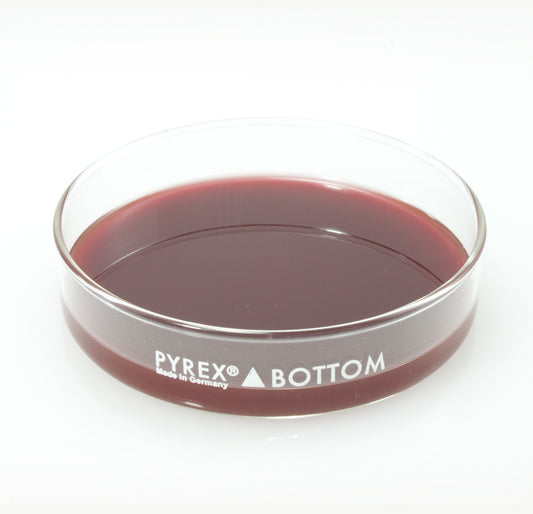 Dissection Dish, Large, Red