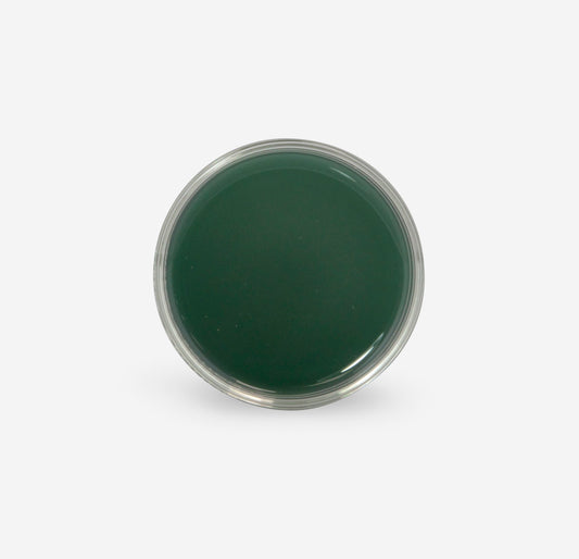 Dissection Dish, Small, Green