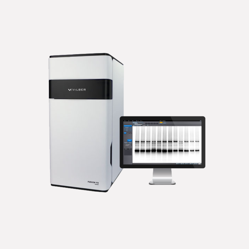 Western Blot Analyzer