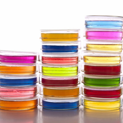 Dissection Dishes