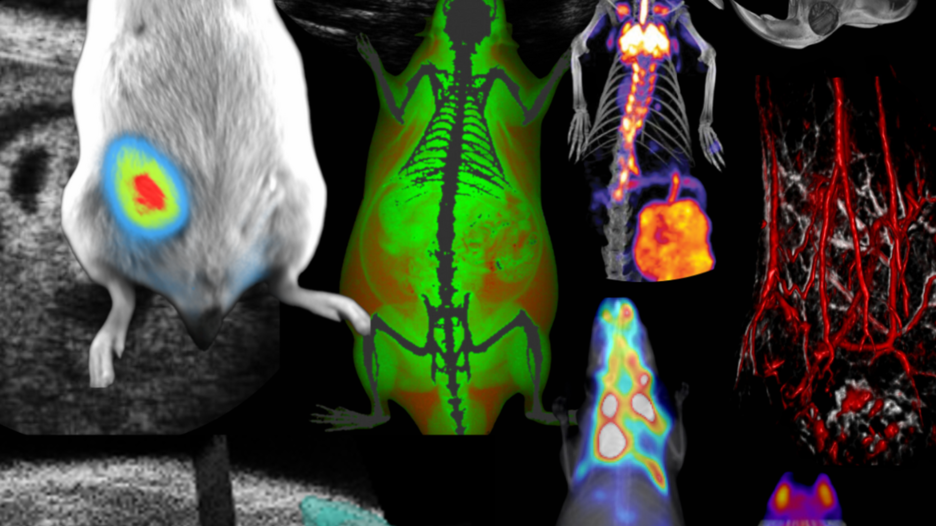 Imaging Systems