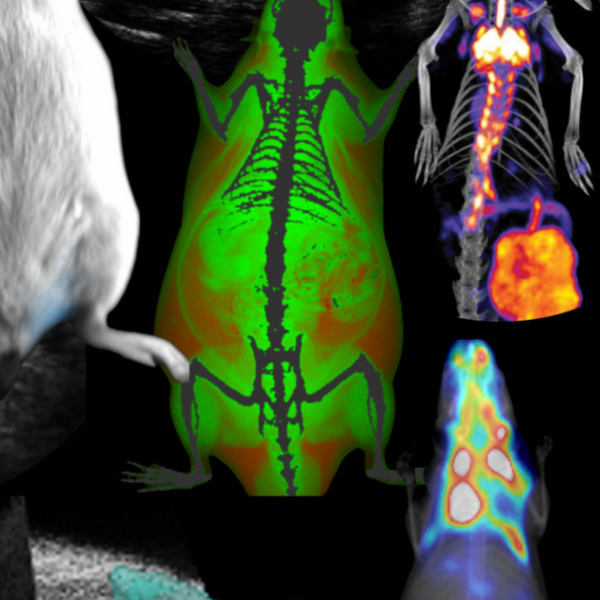 Imaging Systems