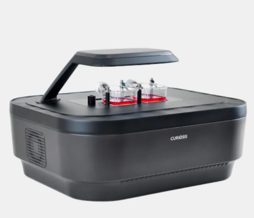 Live-cell Imaging