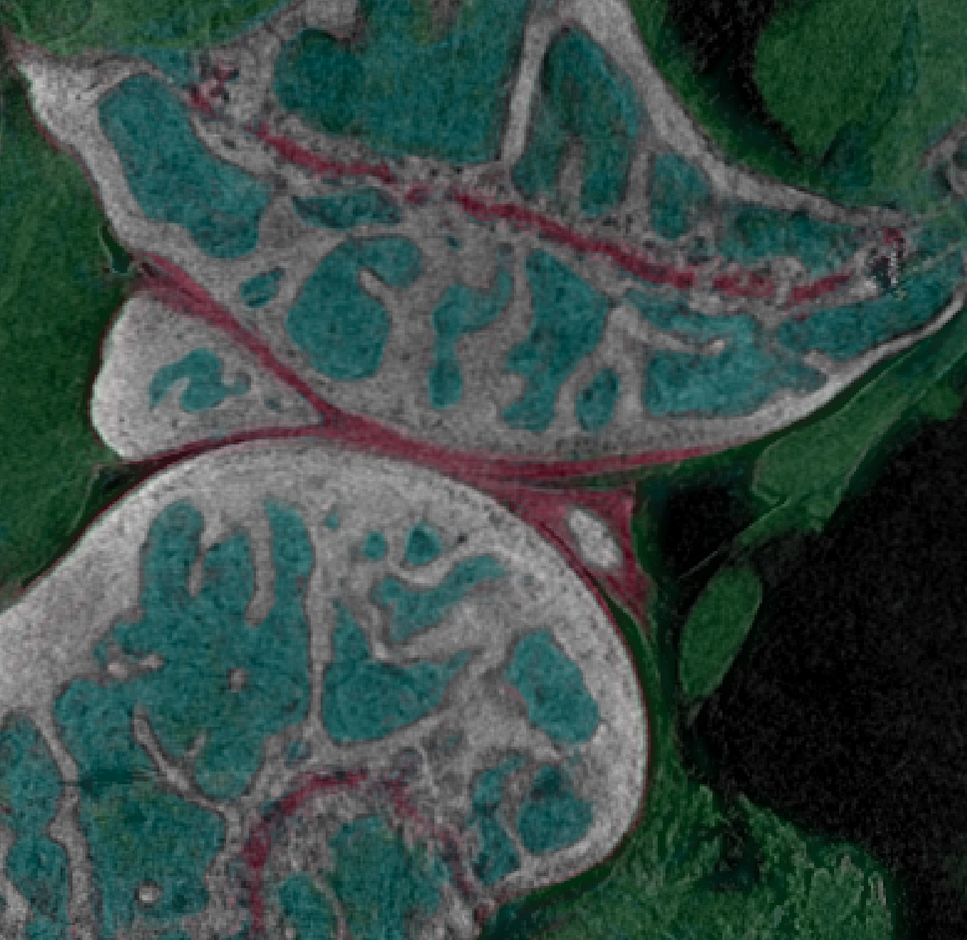 InCiTe™ 3D X-Ray Microscope
