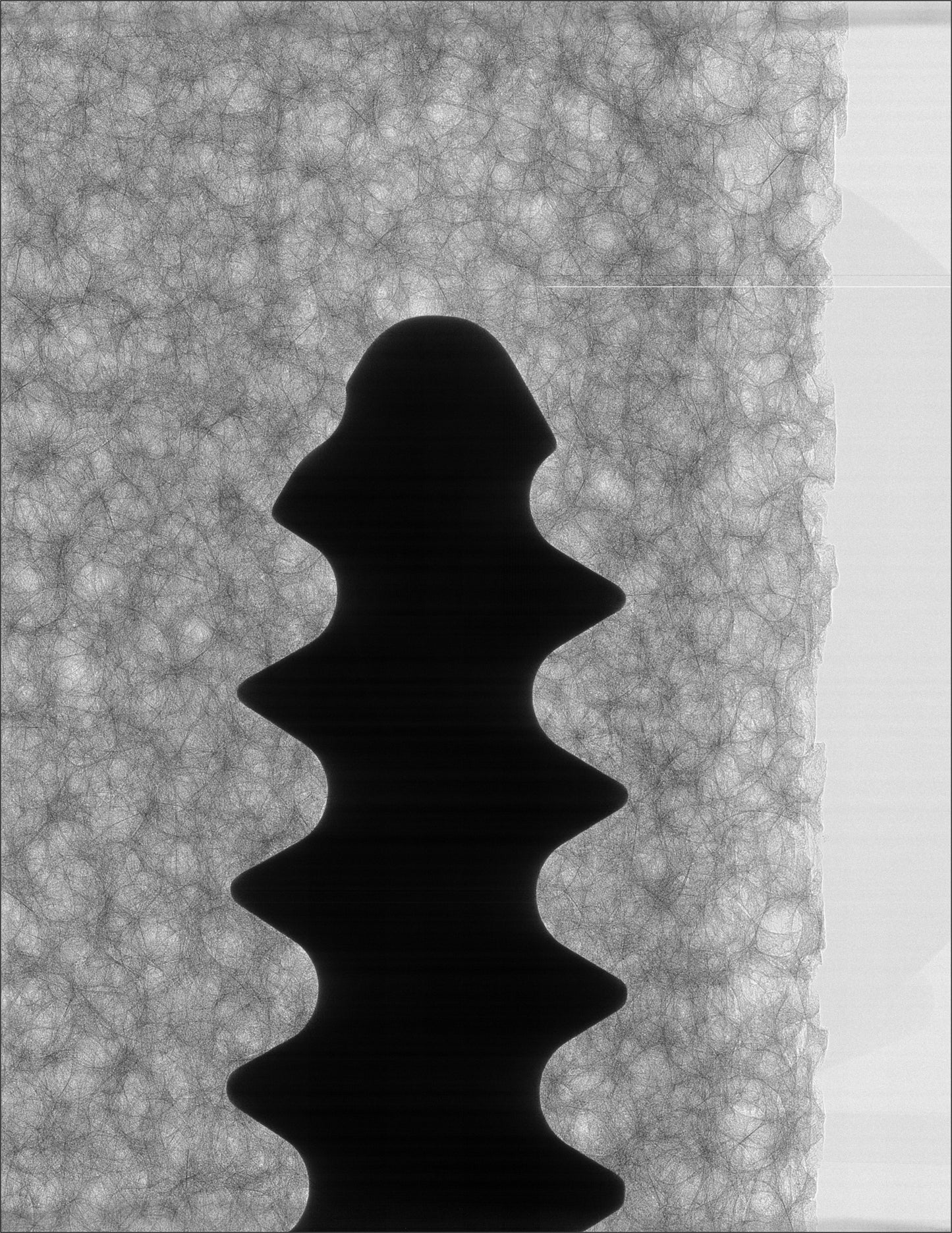 InCiTe™ 3D X-Ray Microscope