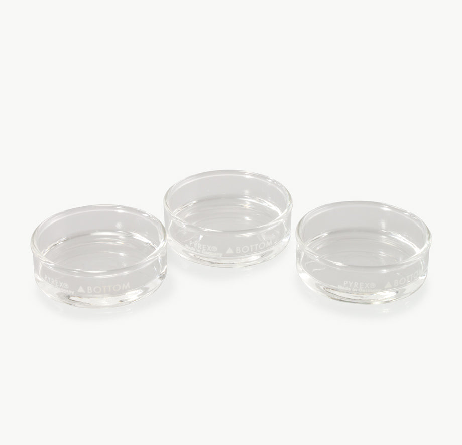 Disecting Glass Dissection Dish, Small, Clear 3-Pack – Scintica