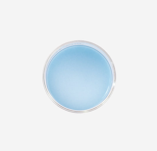 Dissection Dish, Small, Light Blue