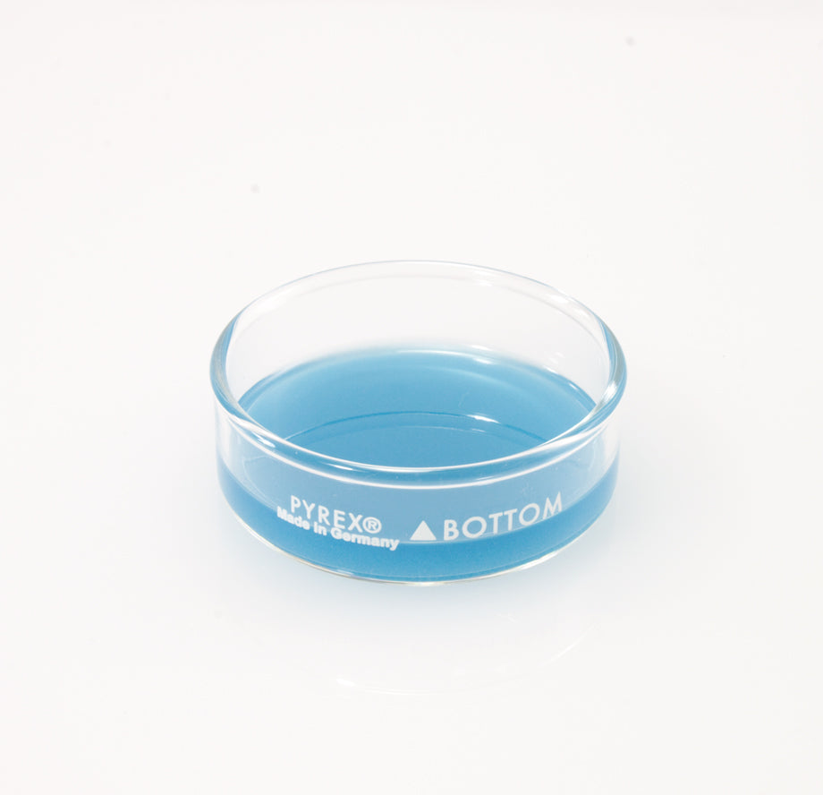 Dissection Dish, Small, Light Blue