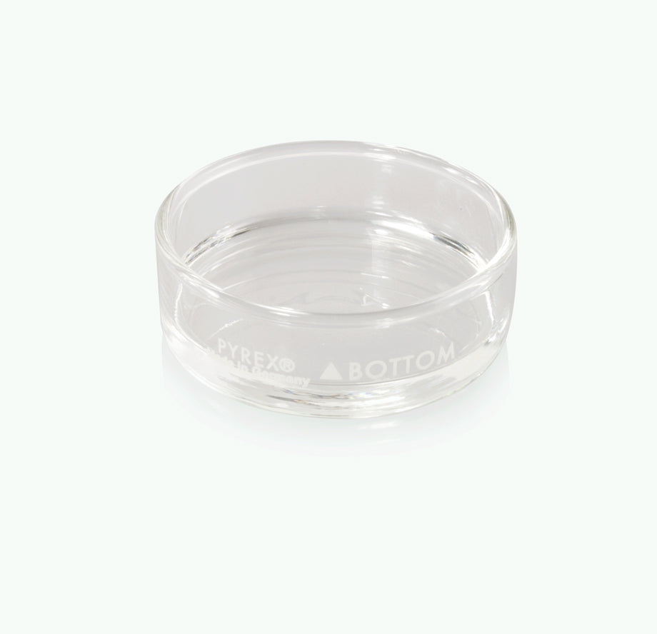 Dissection Dish, Small, Clear