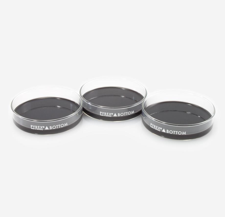 Dissection Dish, Small, Black 3-Pack