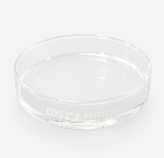 Dissection Dish, Large, Clear 3-Pack