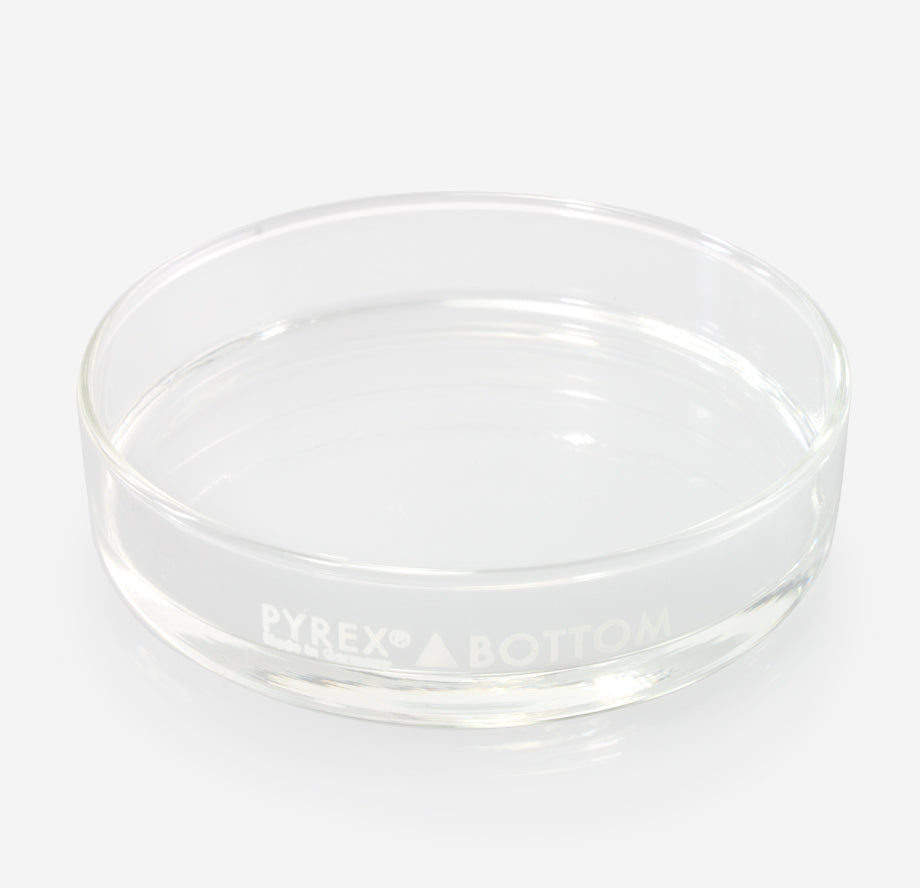 Dissection Dish, Large, Clear